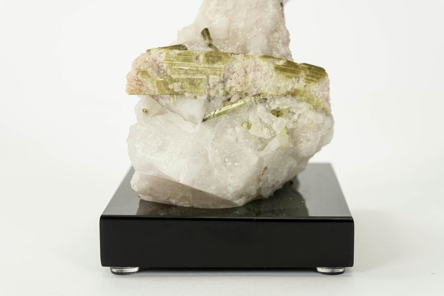 Amethyst Parakeet I on White Granite and Tourmaline Base